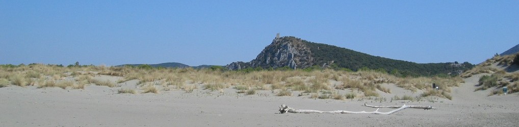 SCS  –  Studio Consulenza Software Snc