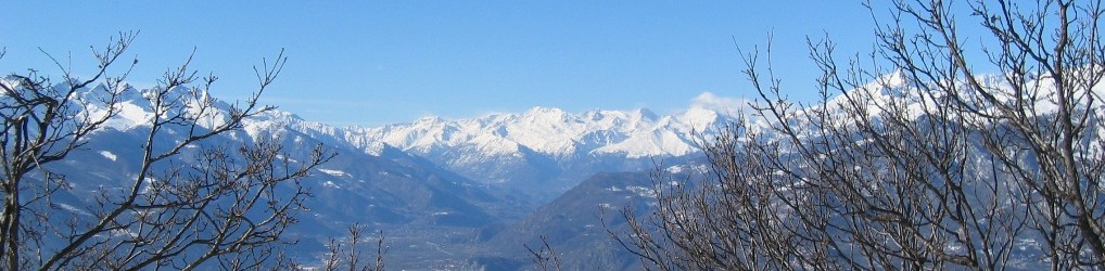 SCS  –  Studio Consulenza Software Snc