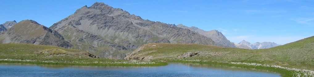 SCS  –  Studio Consulenza Software Snc