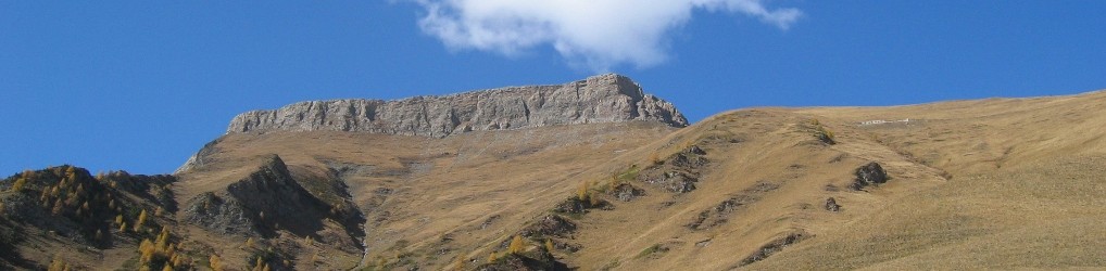 SCS  –  Studio Consulenza Software Snc