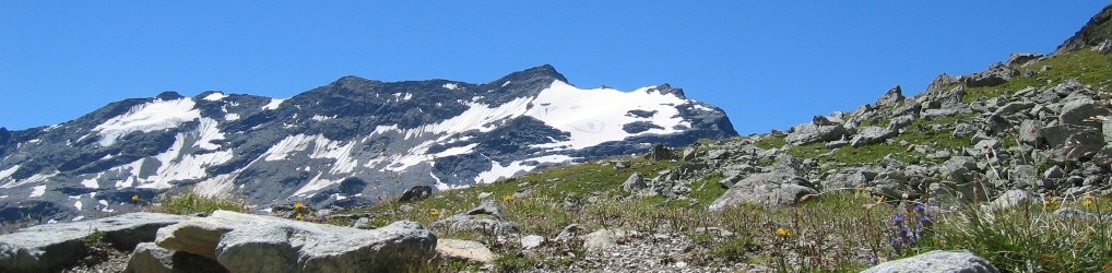 SCS  –  Studio Consulenza Software Snc