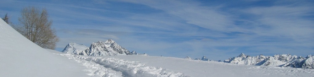 SCS  –  Studio Consulenza Software Snc